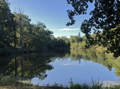 Le Haras du Reuzel - Etang de la Justice