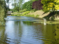 le moulin de charbonniere